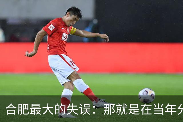 合肥最大的失误：那就是在当年分巢湖的时候，竟然没有拿下无为县
