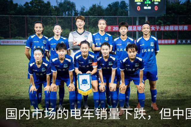 国内市场的电车销量下跌，但中国车圈新恒大可能先在海外爆发