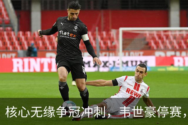 核心无缘争冠冲刺，韦世豪停赛，蓉城进攻面临严峻考验