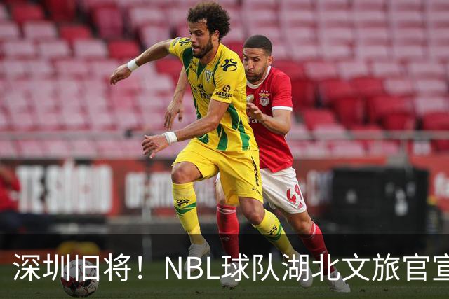 深圳旧将！NBL球队湖北文旅官宣签下前CBA球员杨林祎