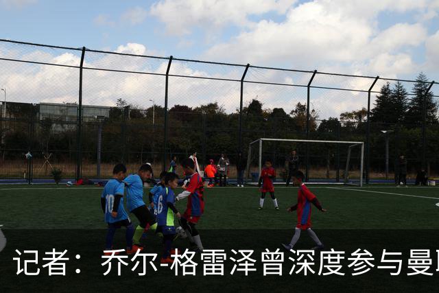 记者：乔尔-格雷泽曾深度参与曼联管理，连买油漆都要审批