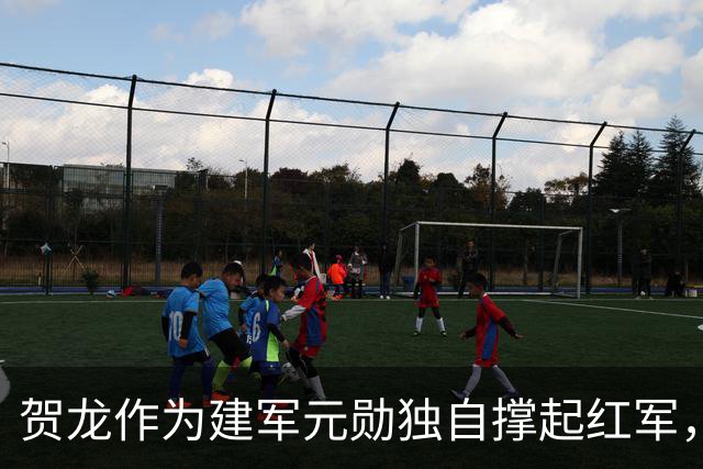 贺龙作为建军元勋独自撑起红军，为何元帅排名却在刘伯承之后？