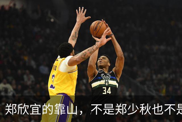 郑欣宜的靠山，不是郑少秋也不是沈殿霞的遗产，而是事事兜底的她